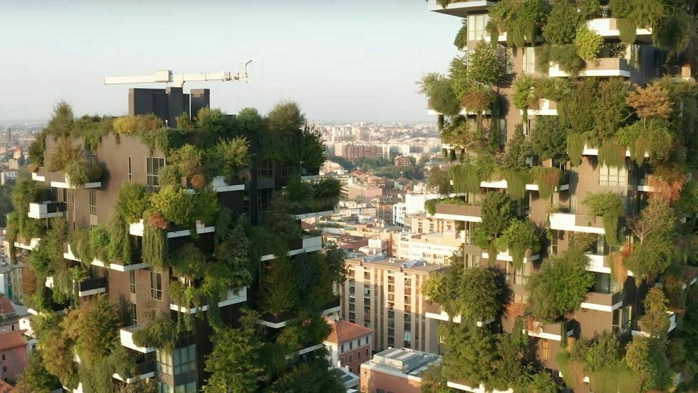 Rundt 900 trær vokser i verdens første «vertikale skog» – Il Bosco Verticale di Milano.