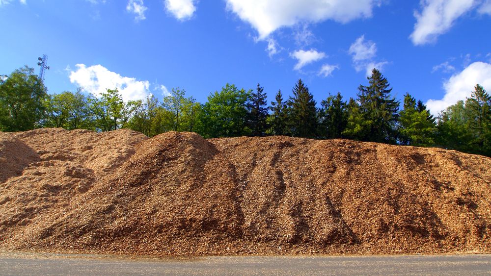 Biomassen har for mye oksygen og for lite hydrogen i forhold til ønsket sluttprodukt. Dette betyr at det er vanskelig å få til god karboneffektivitet uten å tilsette hydrogen i produksjonsprosessen.                 