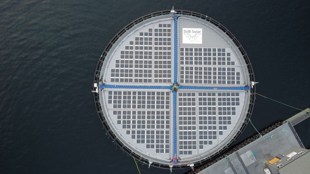 Solceller i gamle oppdrettsmerder kan bli en god løsning for havbruket, ifølge forstudie.