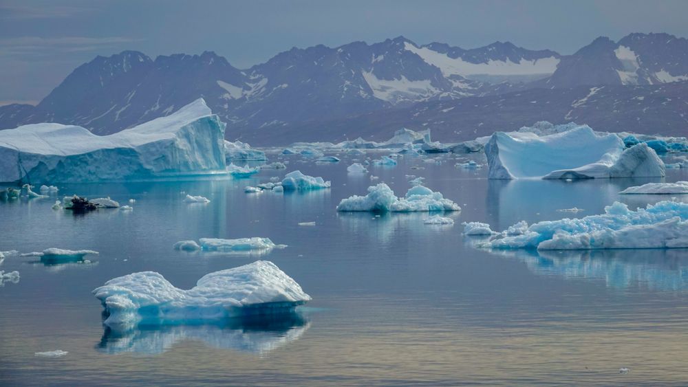 Drivende isfjell i Sermilikfjorden øst på Grønland. Lokalt og regionalt kan klimaet påvirkes av naturlige svingninger, som kommer i tillegg til den langsiktige globale oppvarmingen. 
