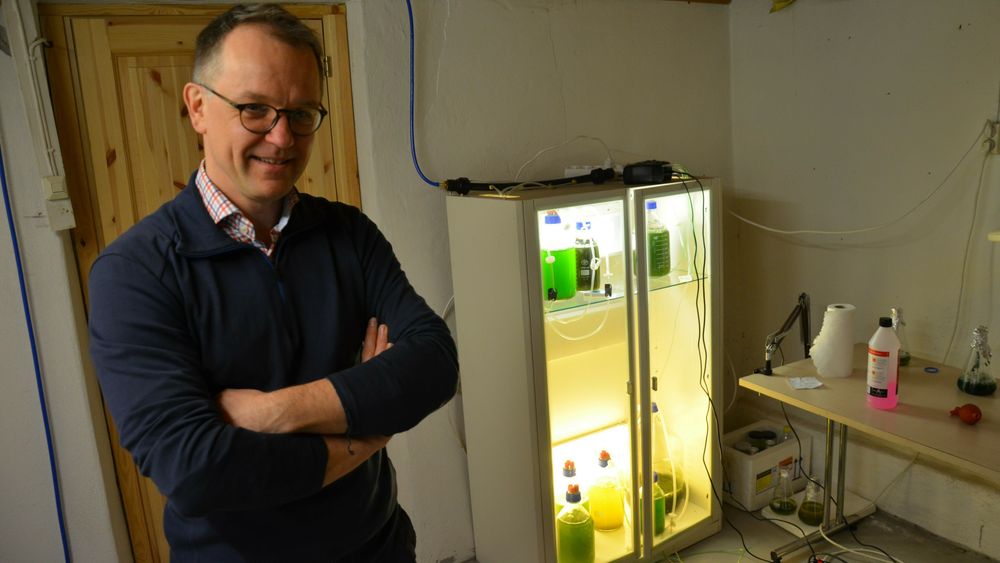 Gabriel Ossenkamp har innredet kjelleren som laboratorium. Målet er å utvikle fargestoff fra alger til bruk i fiskefôr.