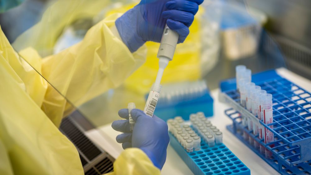 Laboratoriene begynner denne uka å analysere koronaprøver på en måte som raskere slår fast om de inneholder mutert virus.