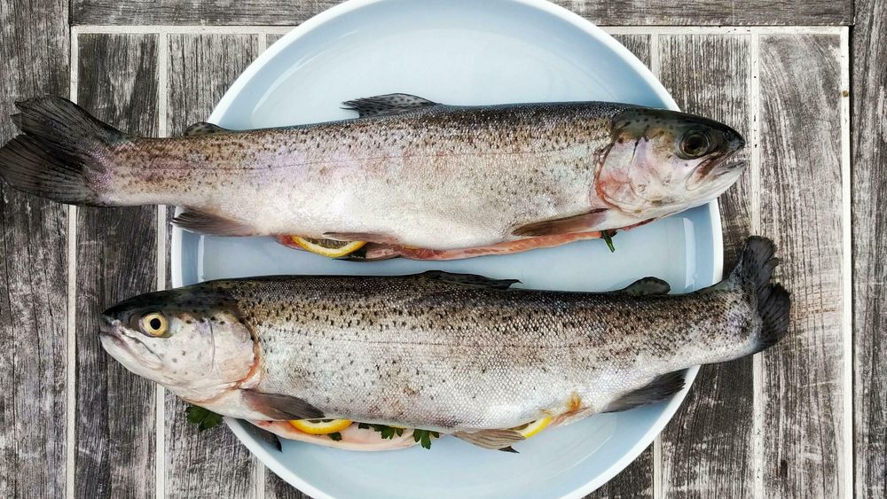 Det grønne skiftet fører til økt behov for omstilling i maritim næring.