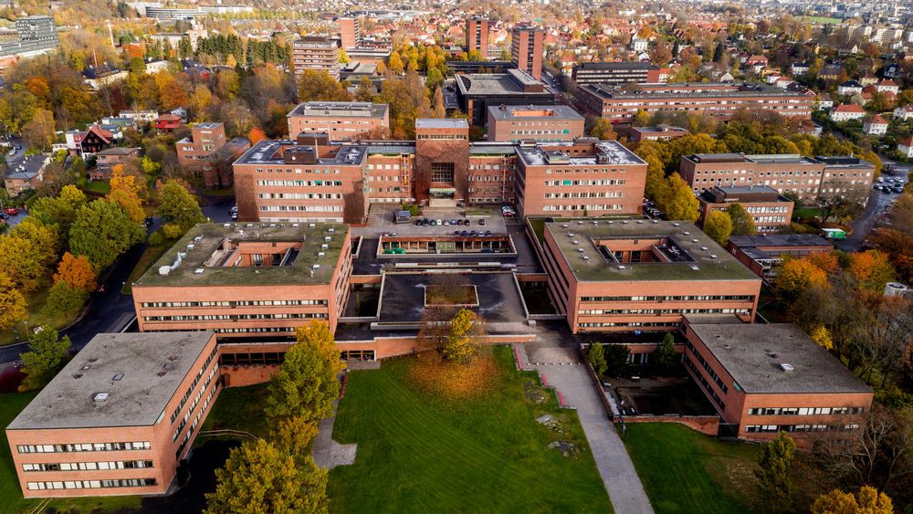 Det er derfor ikke tilfeldig at 82 prosent av verdiskapingen innen helseindustrien kommer i Oslo/Viken, blant annet på grunn av tett tilknytning til universitet, skriver artikkelforfatteren.