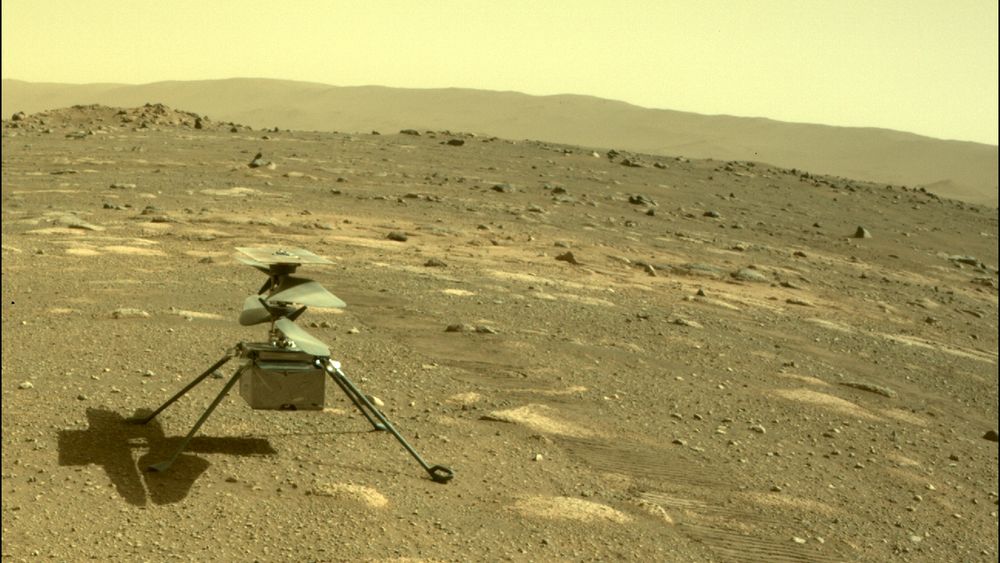 Nasa's helikopter Ingenuity på Mars, sett gjennom roveren Perseverance kamera, 4 . april 2021. 