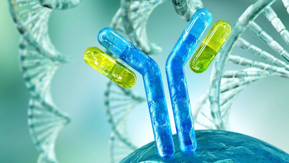 Immunsystemet er et utrolig komplekst forsvarsverk med masse våpen i arsenalet.