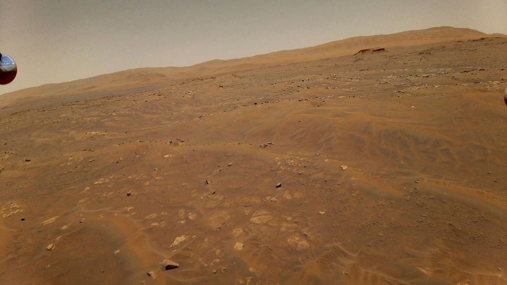 Ingenuity var ikke like stødig på alle flyturene på Mars, men innlagte marginer gjorde at det gikk bra selv da helikopteret begynte å vingle på sin sjette ferd. Bildet er fra en tidligere tur.