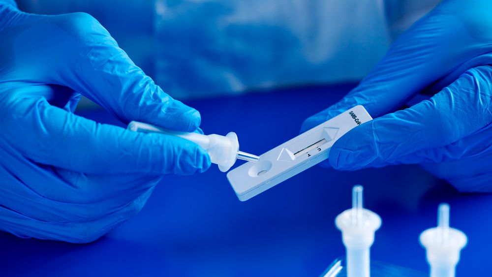 closeup of a male healthcare worker, wearing blue surgical gloves, placing the sample into the covid-19 antigen diagnostic test device, on a blue table