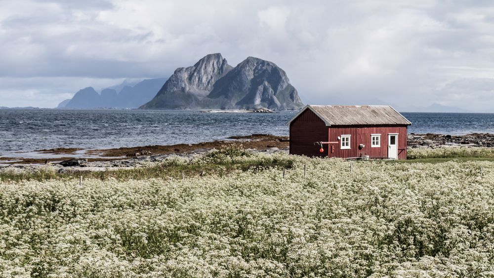 Illustrasjonsbilde. Både Telia og Telenor rapporterer om at stadig flere nordmenn velger fast trådløst bredbånd med egen antenne for å få stabilt nett og ubegrenset databruk på hytta.