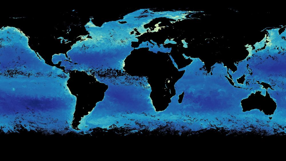 Dette kartet viser mengden klorofyll i verdens hav, målt med NASA-satellittene SeaWIFS og MODIS. Liknende resultater er påvist i over 20 år, med noe variasjon mellom årstidene.