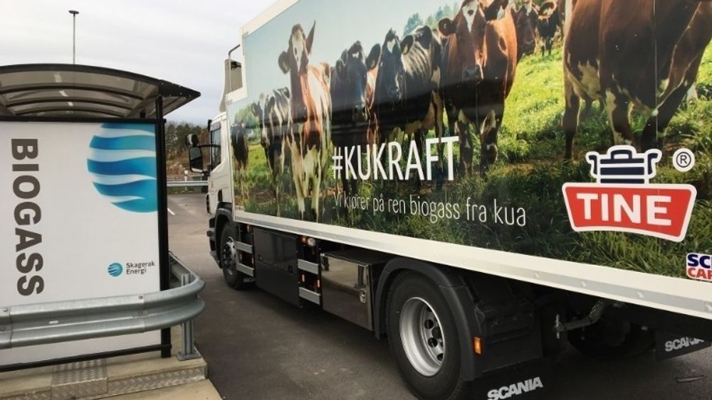 Tine er blant aktørene som kjører sine lastebiler på biogass.  De bruker biogass produsert fra kumøkk i transporten.