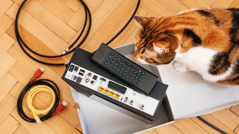 Ilustrasjonsbilde av katt og hjemmeruter under installasjon.