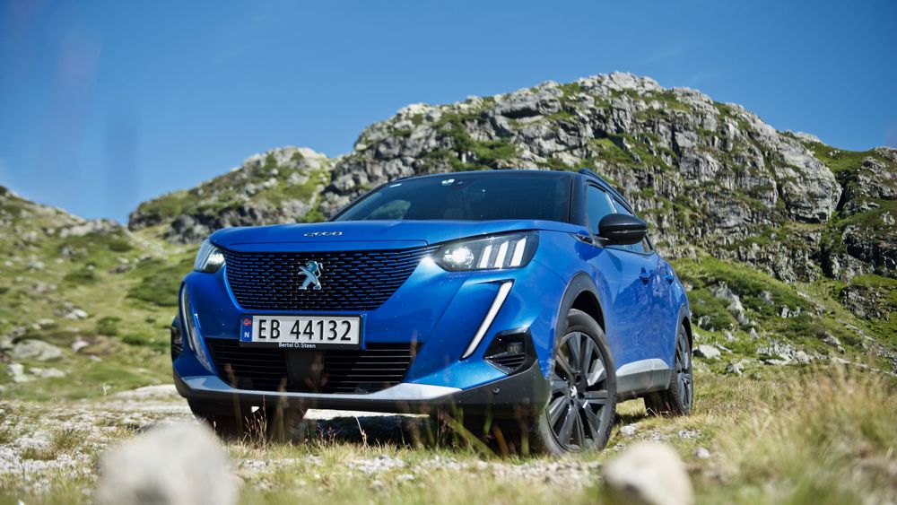 Stellantis produserer biler under en mengde merkenavn, som Peugeot.