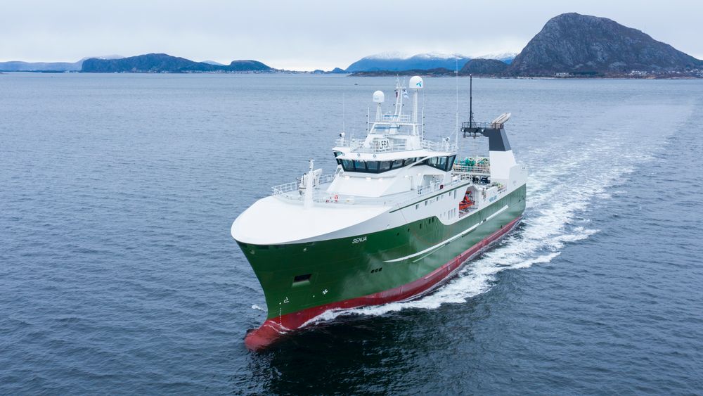 Tråleren Senja er den første av tre søsterskip Vard leverer til Nergård.