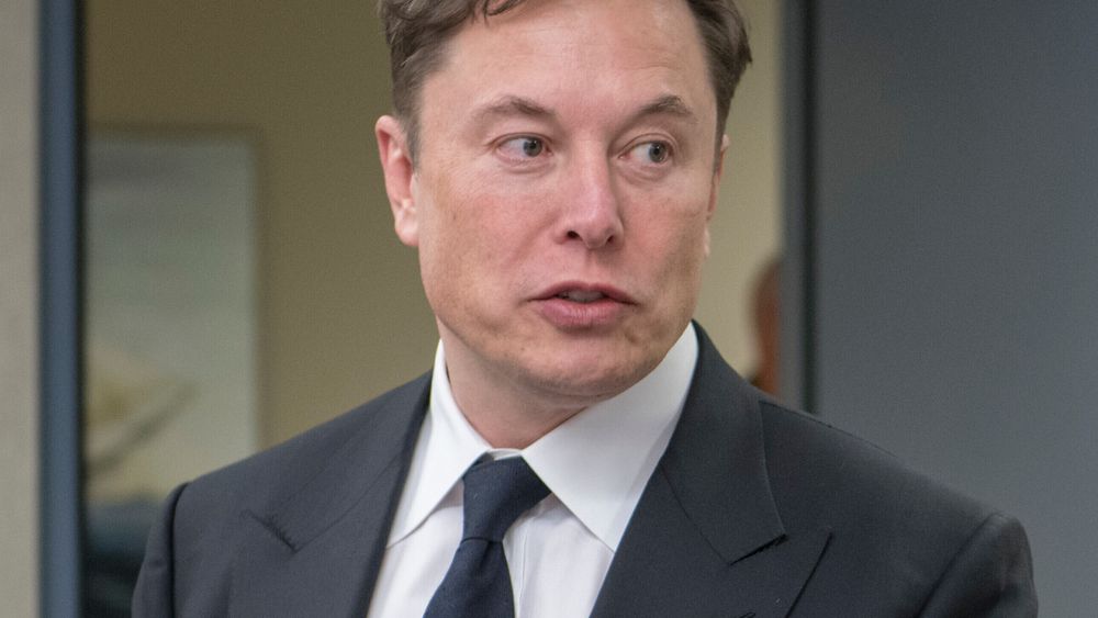 Elon Musk skal kanskje lansere en egen Twitter-lignende tjeneste.