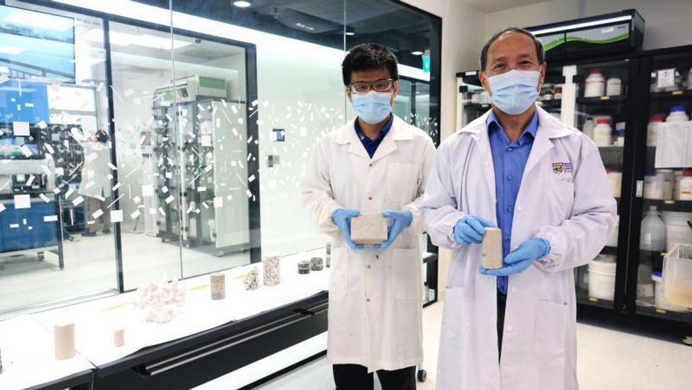Wu Shifan (t.v.) og Chu Jian fra Nanyang Technological University i Singapore med den nye typen sement i hendene.