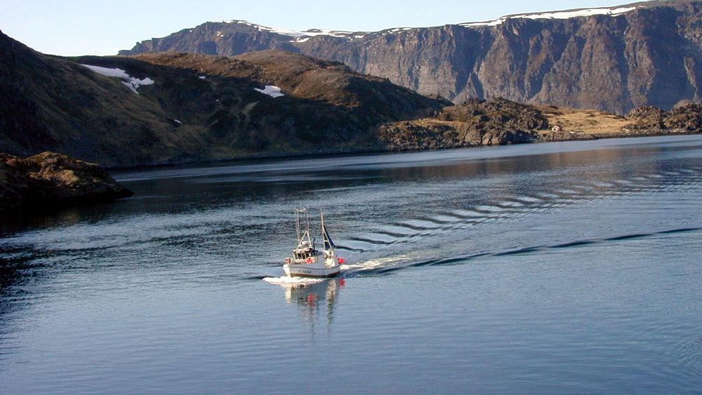 Norge er i gang med å innføre VMS-sporing også for den minste flåten. I sommer ble det klart at sporingsdataene fra fartøy over 15 meter skal deles på en internasjonal karttjeneste.