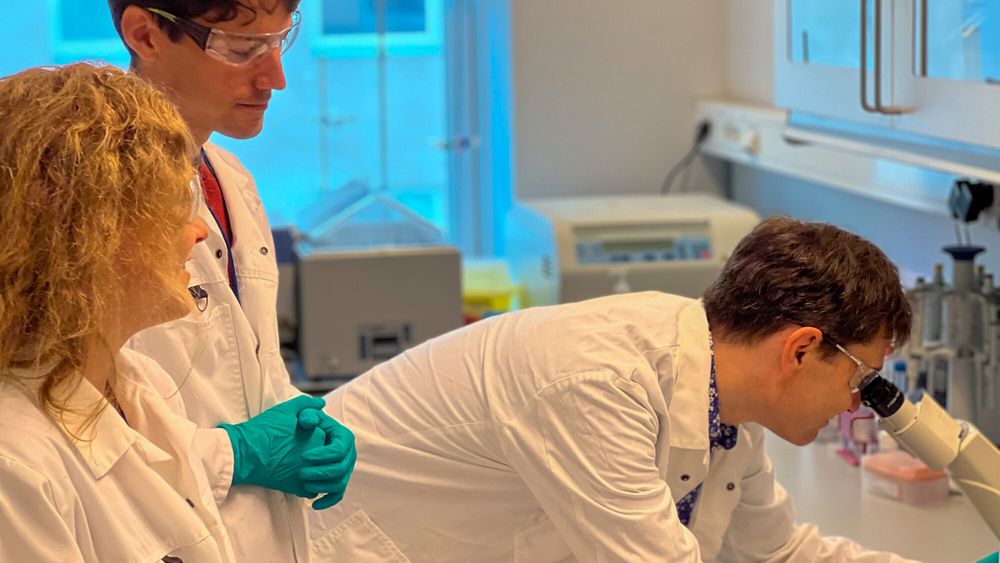 – Det vi gjør er på en måte å hacke cellen, slik at vi skrur om på ledningene der inne. Det som skjer da, er at cellene blir opptatt av å vedlikeholde DNA-et sitt, forteller Torkild Visnes. 