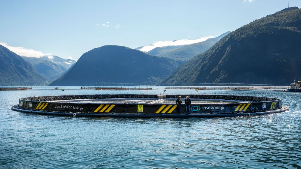 Bildet viser pilot-solcelleanlegget som er testet i Storfjorden. Det første kommersielle anlegget skal ligge i Voldsfjorden.