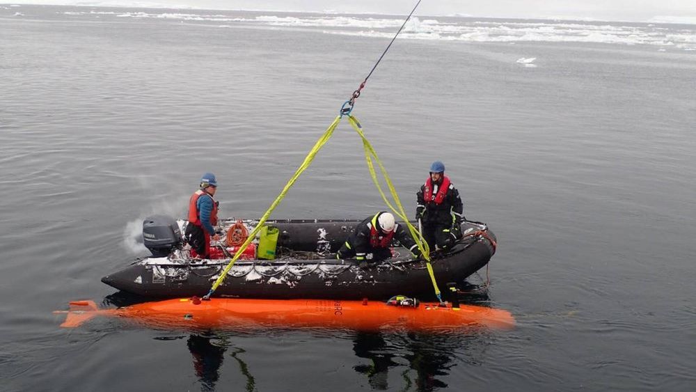 Ran samlet data fra havbunnen ved å kjøre frem og tilbake omtrent 50 meter over bunnen.