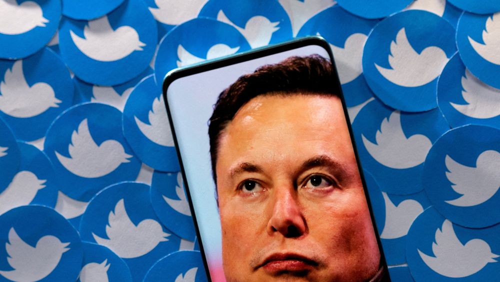 Twitter-brukerne vil at Elon Musk går av som sjef.