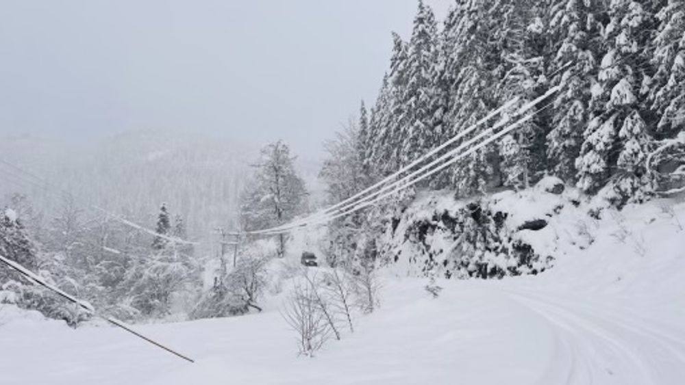Over 2.000 husstander i Agder var uten strøm tirsdag kveld fordi tung, våt snø bøyer trær over linjene. Slik så det ut i Birkenes tirsdag ettermiddag.
