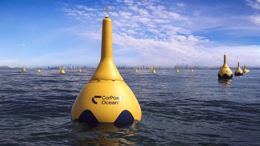 Sånn som dette er det tenkt at bølgekraftparker med Corpower Oceans teknologi skal se ut i fremtiden.