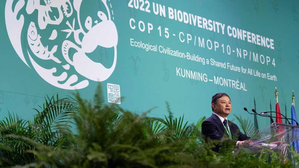 – Pakken er vedtatt, sa den kinesiske miljøministeren Huang Runqiu, som leder naturtoppmøtet, til rungende og høy applaus fra salen.