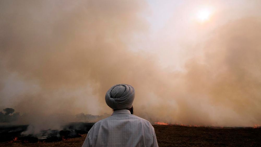 Halm som brennes i India for raskt å gjøre åkrene klare til ny dyrking, bidrar til kraftig luftforurensning.