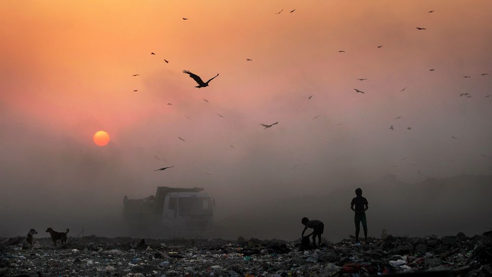 Unge livnærer seg på en søppelfylling utenfor New Delhi. Slike fyllinger bidrar til utslipp av den potente klimagassen metan. Verden er nødt til å fange CO2 i et omfang som bare så vidt lar se gjennomføre hvis vi setter alle kluter til, mener forskere bak den første globale rapporten om karbonfangst.