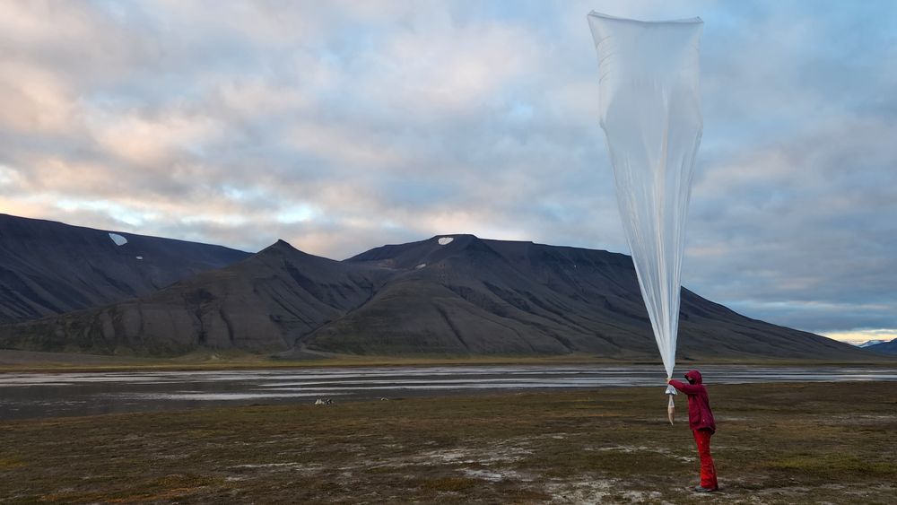 Her slippes en av værballongene til Windborne Systems opp på Svalbard. Øygruppen har en unik posisjon som gjør at værballongene kan samle informasjon om arktiske sykloner som spiser opp sjøis. 