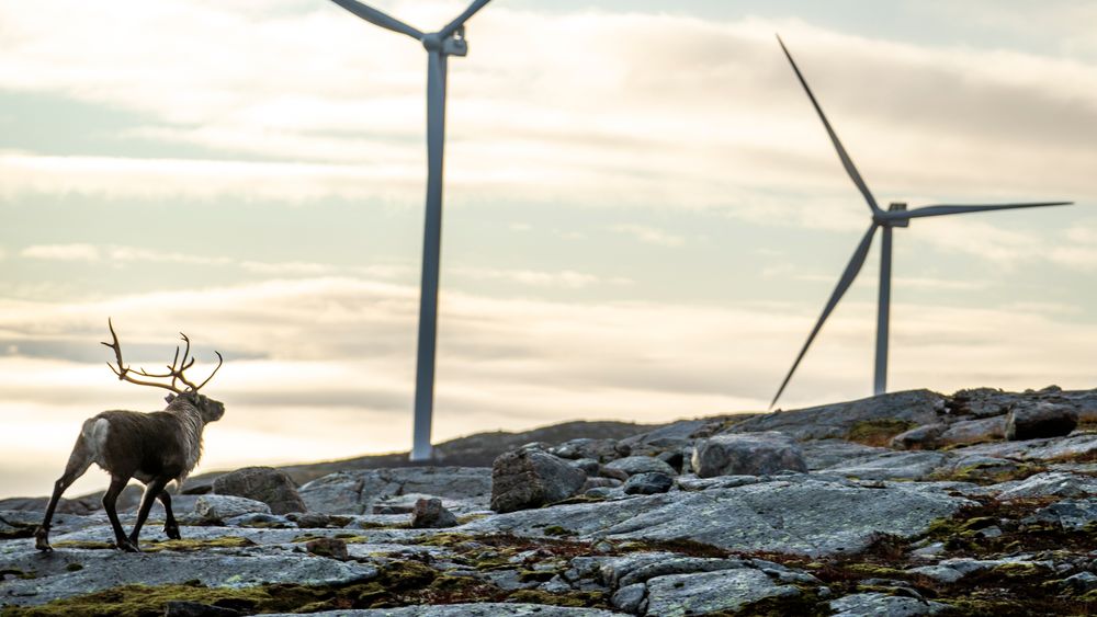 En helhetlig areanbruksplan vil hjelpe oss med å unngå slike hendelser som Fosen-saken, der debatten og rettssaken om naturmangfoldet ikke fikk stoppet nedbyggingen av natur og kraftutbygging.