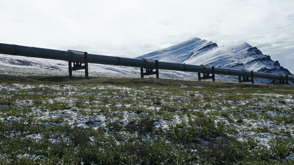 Rørsystem for transport av olje i Alaskas villmark er eksempel på infrastruktur fundamentert på permafrost. 