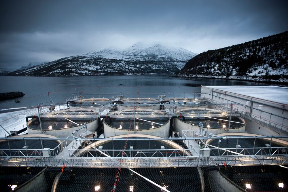 Et settefiskanlegg i Mørsvikbotn i Nordland. Hvis forventet vekst i denne næringen skal realiseres, krever det langt mer automatisering enn bransjen i dag har.