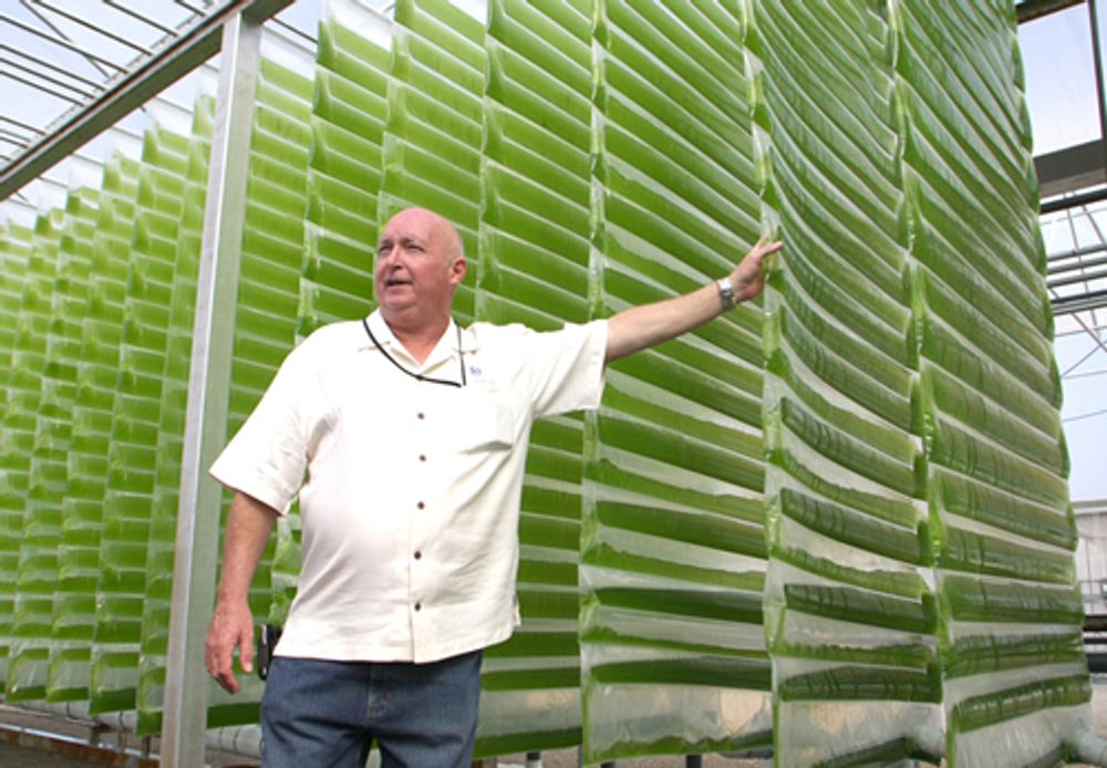 LUKKET SYSTEM 1: Alge-gründer og direktør Glenn Kertz i selskapet Valcent viser fram algefylte bioreaktorer ved selskapets forsknings- og produksjonssted i El Paso, Texas.