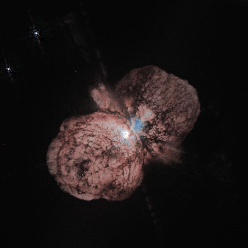 RESULTATET: Stjernen Eta Carinae hadde sitt utbrudd i det 19. århundre, og mistet mellom ti og 20 solmasser med materiale. Disse massene danner nå en stjernetåke rundt den. Astronomer observerte et lignende utbrudd fra HD 5980 i 1993-94, og dette bildet viser derfor hvordan HD 5980 kan komme til å se ut om 100 år.