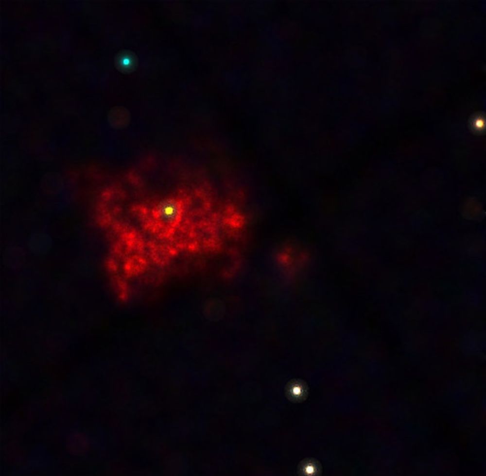 NÆRBILDE: HD 5980 på nært hold. Den gule stjernen er omgitt av restene etter en supernova eksplosjon, som her vises i rødt.