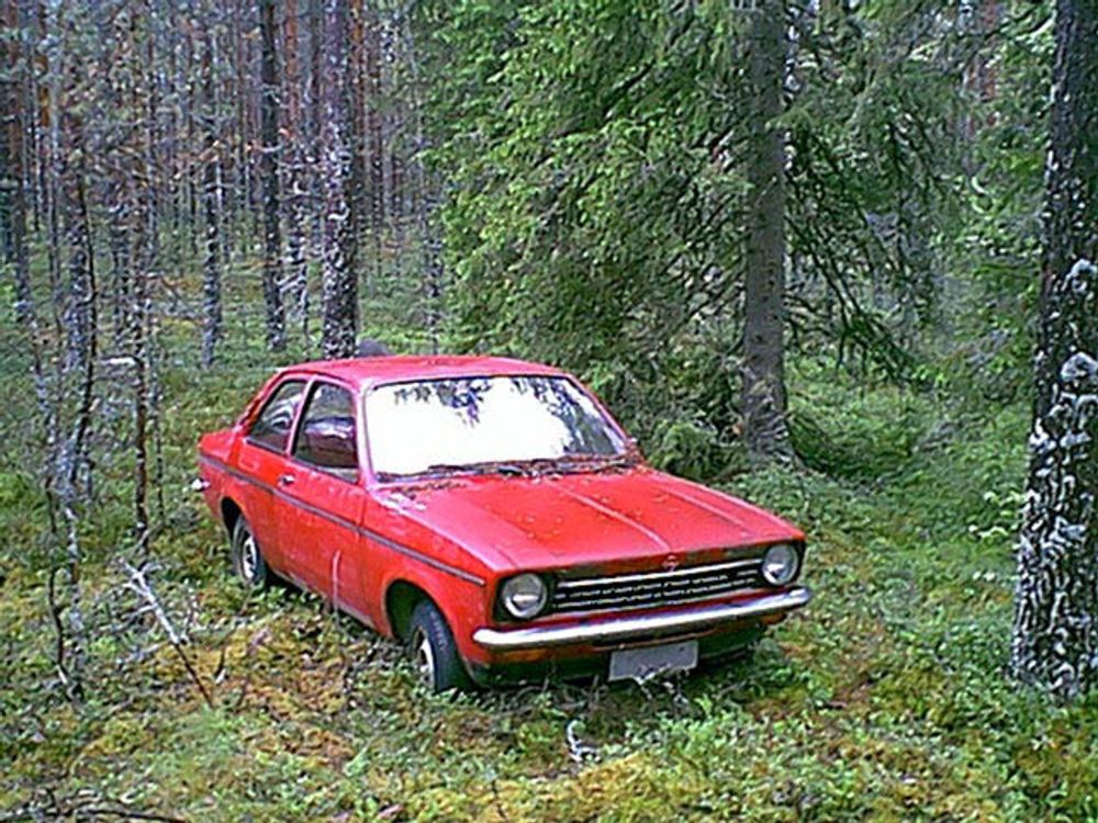 Denne bilen kommer neppe til å gå på biosprit fra skogen, men nye biler med moderne motorer kan - hvis myndighetene vil.