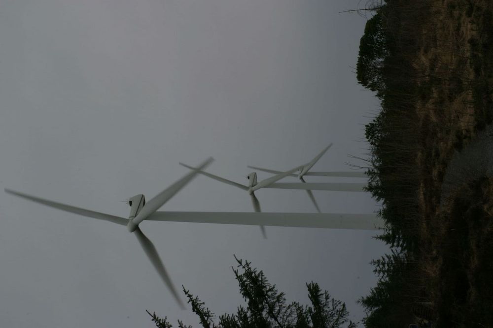 40 PROSENT: På Harøy i Sandøy kommune på Sunnmøre, lverer fem vindturbiner 40 prosent av energiforbruket i kommunen.