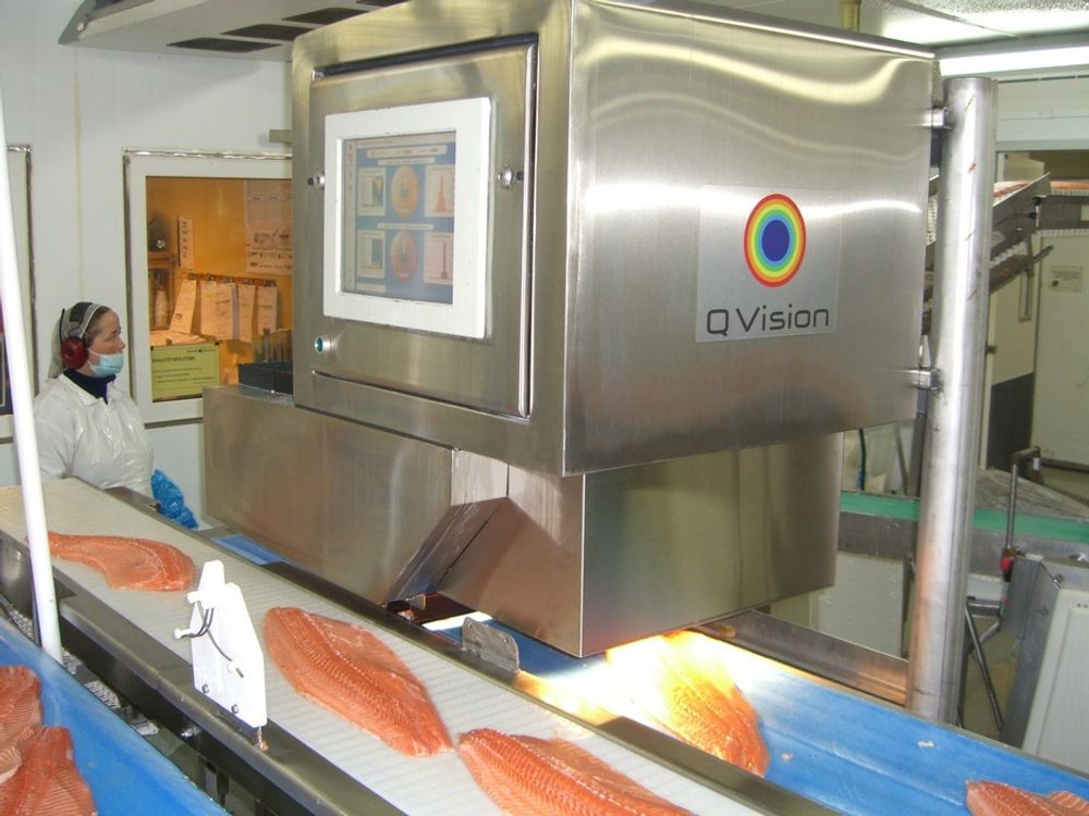 FETT OG VANN: Med QVisions utstyr kan  benyttes for å måle fett- og vanninnhold i fisk.