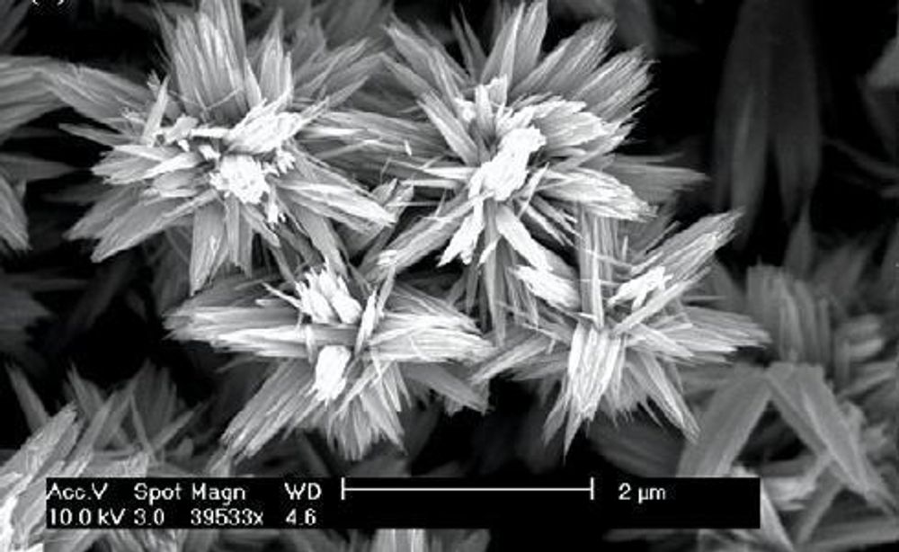 REVOLUSJON: Nano-blomstene er følsomme for alkohol allerede ved 140°C. I praktisk bruk kan det bety en revolusjon for alle typer målinger av etanol.