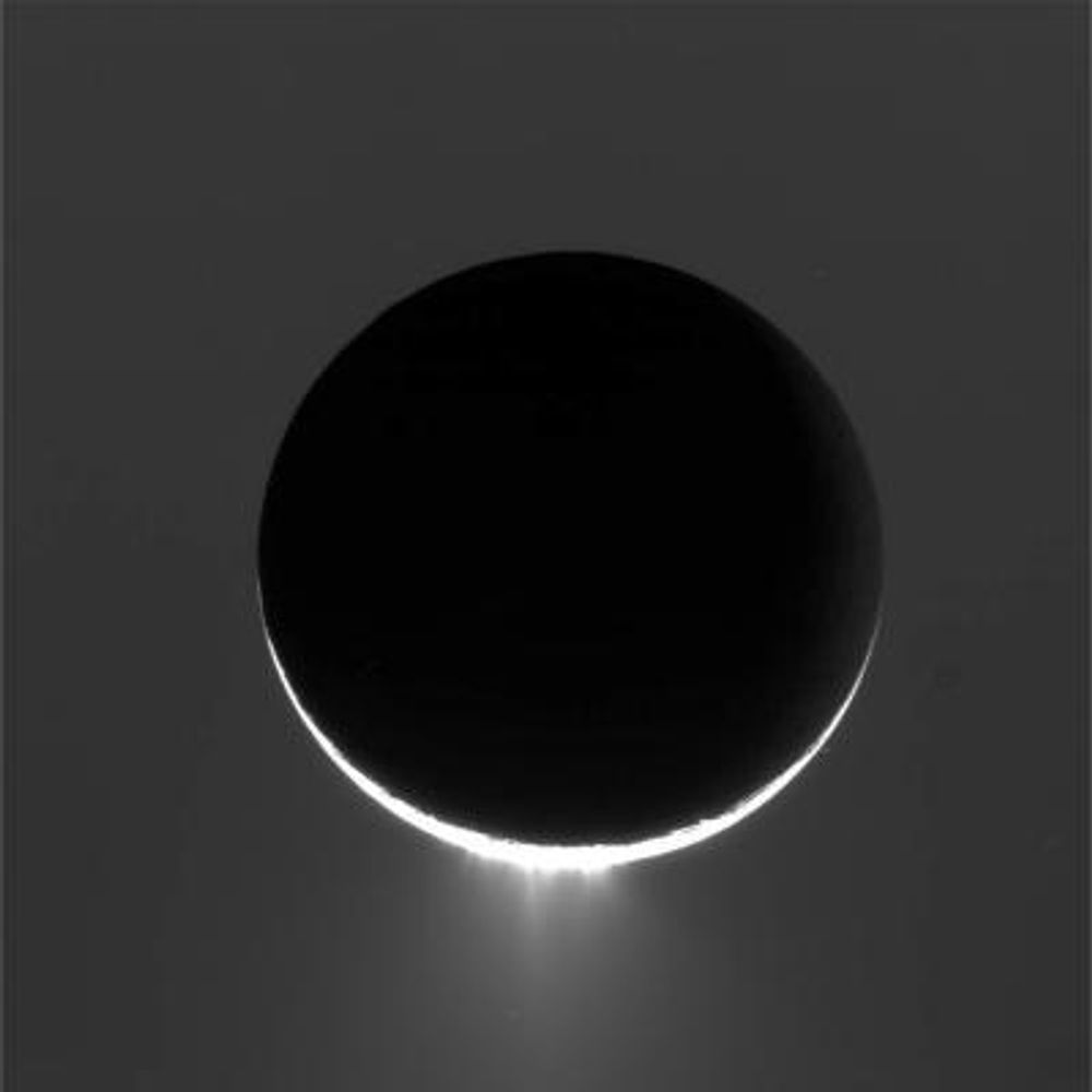 Månen til Saturn, Enceladus. Utbruddene sees i underkant av månen.