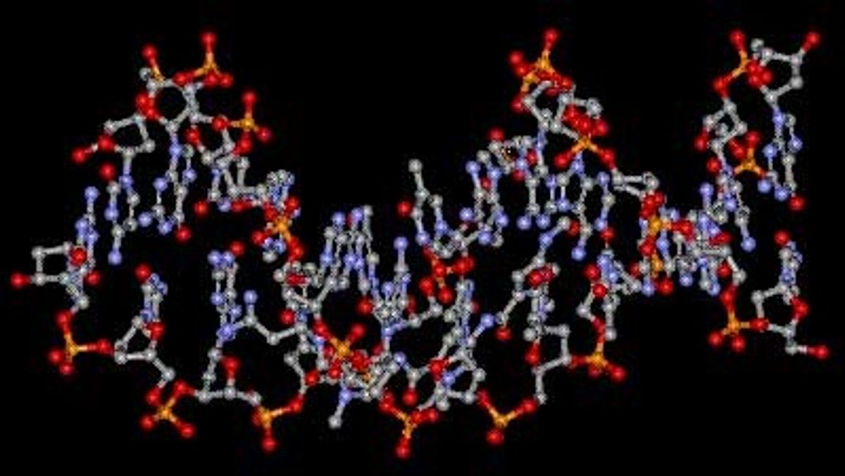 Polymerer utfordrer silisium | Tu.no