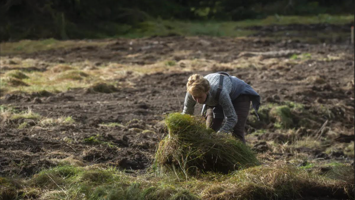 Ny EU-lov kan utvide EØS-avtalen til forvaltning av natur