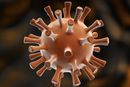 Hver gang et virus deler seg, kan det oppstå en endring i arvematerialet som kan bli til en mutasjon. 