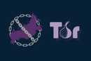 Tor-nettverket er i ferd med å få trange kår i landet med det nest høyeste antallet brukere.