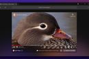 DuckDuckGo-nettleseren har ankommet Windows-plattformen.