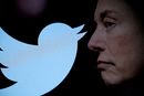 Den lille Twitter-fuglen kvitrer snart ikke mer. Selskapets eier Elon Musk opplyser at han om kort tid vil bytte ut fuglen med en ny logo.