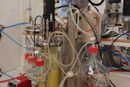 I laboratoriet foregår fermenteringen med digital presisjon