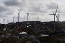 Som en del av enigheten på Sør-Fosen, skal det identifiseres nye vinterbeitearealer som Sør-Fosen sitje skal kunne benytte seg av. Samtidig får vindturbinene i Storheia vindpark stå. 